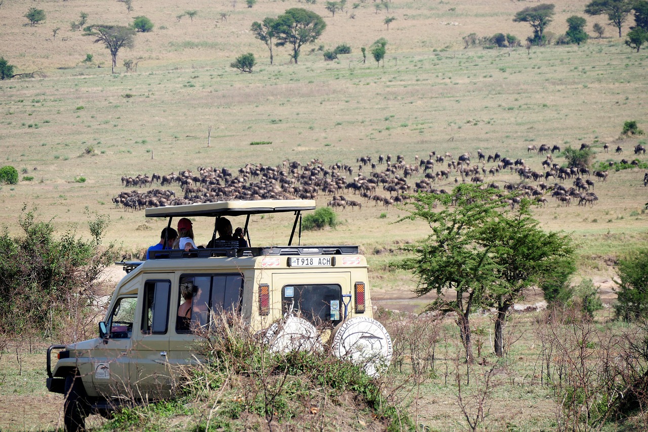 sautisafari wild game drives