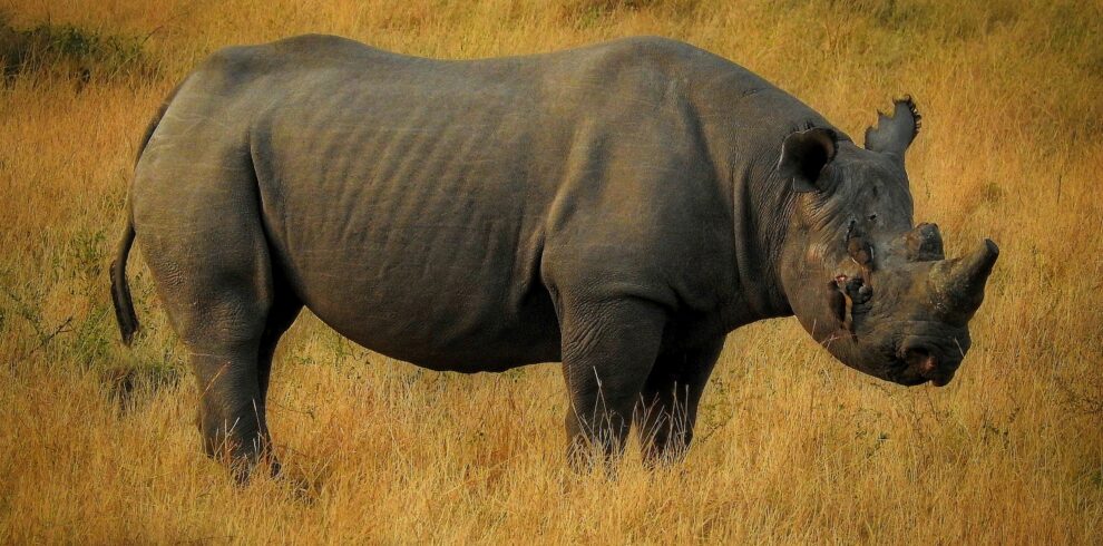 sezibwa national park