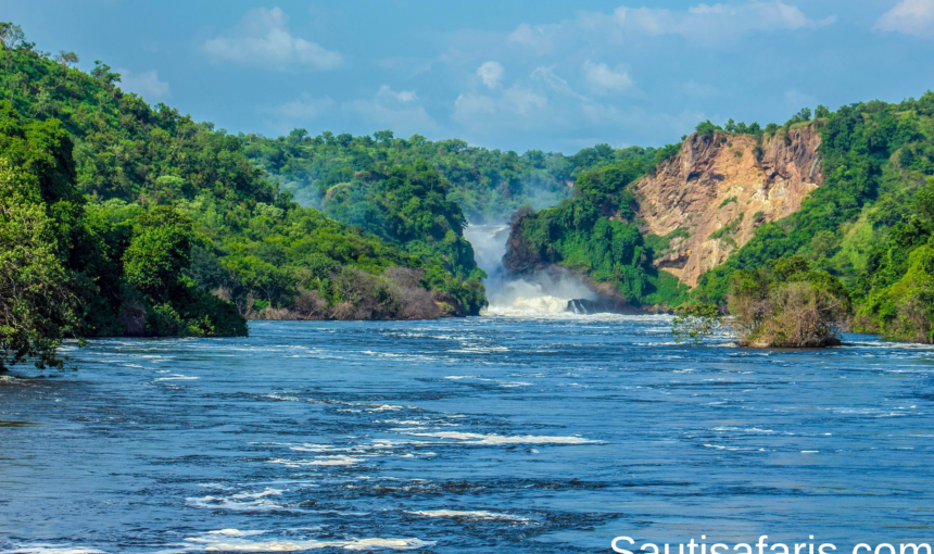 Murchison Falls National Park: Uganda’s Premier Safari Destination